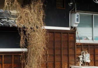 のりだした　松寿