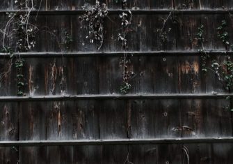 「萎凋」 中尾 麻記子